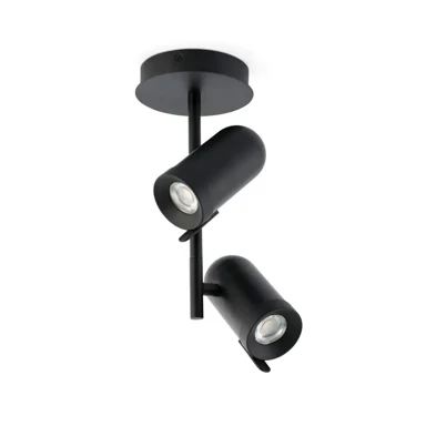 Plafonska lampa Orleans FR43533, 2L, crna