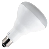 Reflektor Žarulja, E27, R125, LED, 15W, 2700K, 230V, SPL