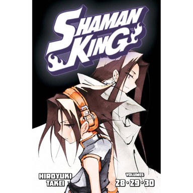 Shaman King Omnibus 10
