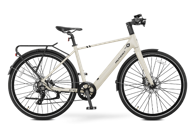 MS ENERGY Električni bicikl eBike c40
