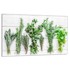 TMK Staklena zaštita za štednjak ili ploču za kuhanje 80x52, začini