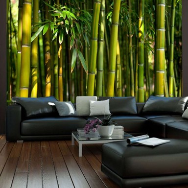 Foto tapeta Asian bamboo forest 250x193