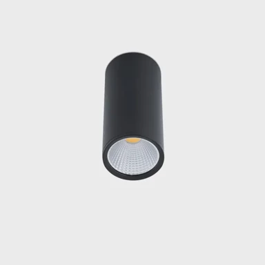 Stropna lampa Rel FR64199, LED 15 W, 60°, 2700 K, crna