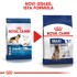 ROYAL CANIN SHN Maxi Adult 5+, za pse starije od 5 godina velikih pasmina (od 26 do 44 kg), 15 kg