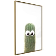 Poster Funny Cactus IV 30x45