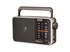 DARTEL Radio FM DARTEL RD-15 Sivi