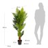 KAVE HOME Umjetna biljka Fern, visina 150 cm  