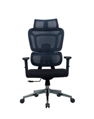 ERGOVISION Ergonomska uredska stolica Apollo, plava