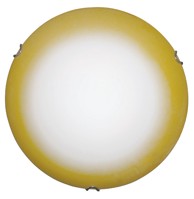 Stropna i zidna svjetiljka PL300 EOR C1