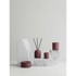 BLOMUS Difuzor Fraga, Cinnamon & Apple