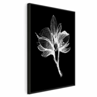 Slika Night Flower, jednodijelna, okomita, 40x60 cm