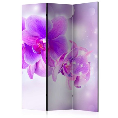 Sobna pregrada u 3 dijela Purple Orchids 135x172