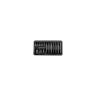 PROLINE Set sigurnosnih Torx bitova T20–T55, 10 mm, 30/75 mm, 15 kom.