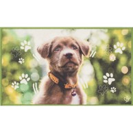 Otirač Digital Pets 44x75 cm