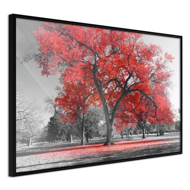 Poster Red Tree 90x60