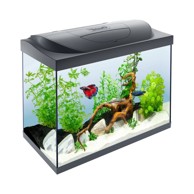 TETRA Akvarij Starter Line, crni, LED osvjetljenje, 80 l