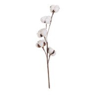 CASA SELECCION Umjetna suha biljka Cotton, visina 55 cm