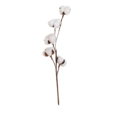 CASA SELECCION Umjetna suha biljka Cotton, visina 55 cm  