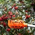 NETSCROLL Košara za branje voća FruitBasket