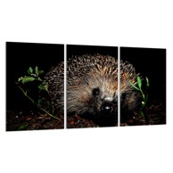 TMK Staklena zaštita za štednjak ili ploču za kuhanje iz tri dijela 30x52