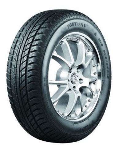 FORTUNE 225 45 R17 FSR901 94V XL MS, zimske gume