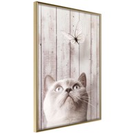 Poster Piercing Look 40x60