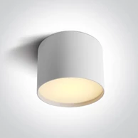 Stropna LED svjetiljka DM12109M/W/V, LED 9 W, CCT, IP20, bijela