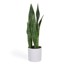 KAVE HOME Umjetna biljka Sansevieria, visina 55 cm  