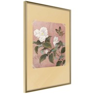 Poster Rhododendron and Butterfly 20x30