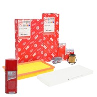 Set filtera 450001332
