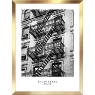 STYLER Zidni okvir u zlatnoj boji Florida, 33 x 43 cm