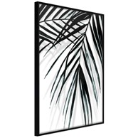 Poster Leaf and Its Shadow 20x30