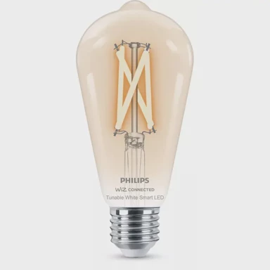 PHILIPS Smart Žarulja, E27, WFB, 60W, ST64, 927-65, CL