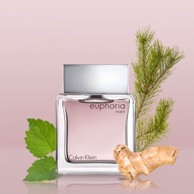 CALVIN KLEIN Muški parfem EDT