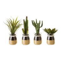 CASA SELECCIÓN Umjetne biljke u setu 4 kom (visina 18 cm) Cactus
