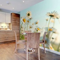 Foto tapeta Daisies spring meadow 300x231