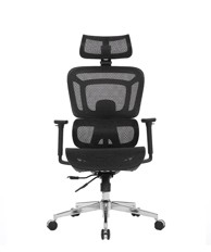 ERGOVISION Ergonomska stolica APOLLO PLUS