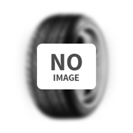 BFGOODRICH ACTIVAN 2 205/75R16 113/111R, zimske gume