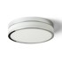 RENDL Stropna lampa, Cira LED 35, opal staklo/krom, 230V, LED, 24W, IP44, 3000K, bijela