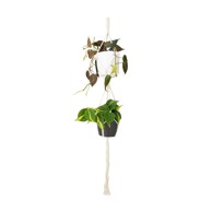 ARTEVASI Tekstilni lanac za vješanje tegli za cvijeće ø 10 cm (visina 120 cm), tekstil, prirodna