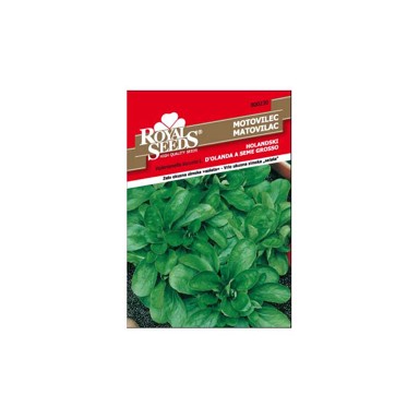 ROYAL SEEDS Sjeme povrća 230 matovilac holandski