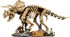 LEGO JURASSIC WORLD Set 77985 Dinosaur Fossils: Triceratops