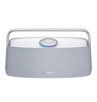 TRONSMART Bluetooth zvučnik Home Audio X30, siva