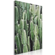 Slika Cactus Garden Vertical 60x90
