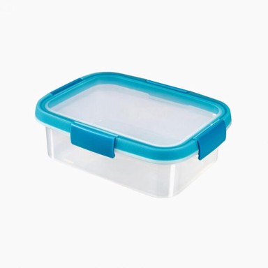 CURVER Posudica za spremanje - Smart Fresh, 1L